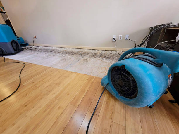 Professional Basement Flood Cleanup technician working in Granville, IL